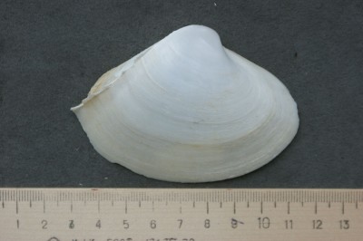 DSC01339.JPG