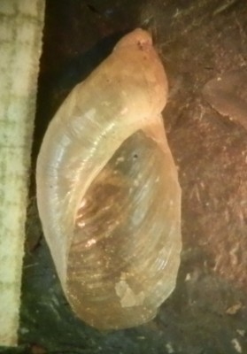 PA020018.JPG